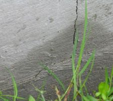 Zoom sur cette fissure