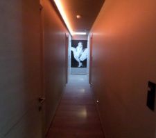 Hall de nuit - accès salle de cinéma