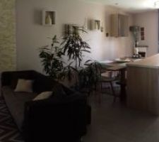 1 an dans la maison