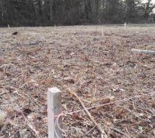 Implantation de la maison sur le terrain
