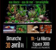 La 12ème bourse d'aquariophilie à Hyères