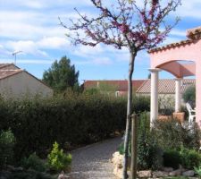 Jardin villa 2005