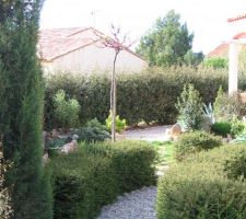 Jardin villa 2005