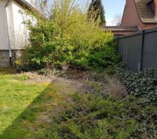 Entr&eacute;e de l'all&eacute;e d'acc&egrave;s &agrave; la zone de construction.

Quel beau buisson n'est ce pas ?