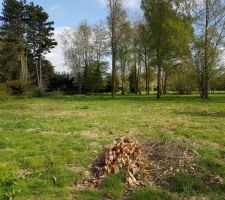 Le terrain. Ça à l'air bien non ? C'est pour ça qu'on l'a choisit