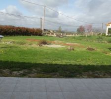 Emplacement future piscine