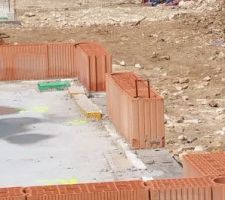 Lot 40 de cot&eacute; droit jardin