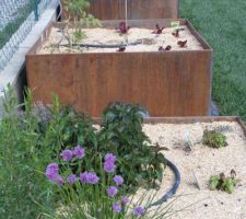 Tour du jardin en ce 1er mai (allée ouest)