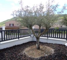 Tour du jardin en ce 1er mai (plateforme sud)