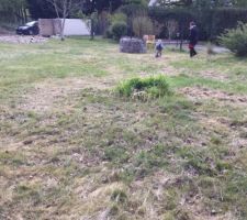 Terrain prêt
