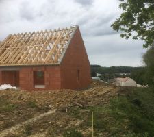 Apres une grosse journée de debroussaillage .. bordure de terrain + un petit bout du côté , les bornes sont dégagées