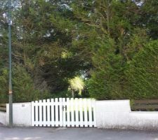 Beaucoup de travail en perspective pour accueillir la maison tant d&eacute;sir&eacute;e