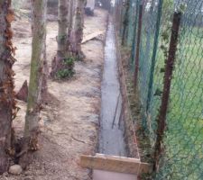 Mur de s&eacute;paration avec le voisin, c'est papa avec ses 70 qui est aux commandes... l&agrave; c'est certain il n'y aura pas de pbs

toupie pompe...2h de travail contre une journ&eacute;e de b&eacute;tonni&egrave;re ... sans compter la fatigue... &ccedil;a vaut le cout ...merci &agrave; la qualit&eacute; de travail de la soci&eacute;t&eacute; Marius