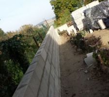 Mur de s&eacute;paration avec le voisin, c'est papa avec ses 70 qui est aux commandes... l&agrave; c'est certain il n'y aura pas de pbs

du bel ouvrage