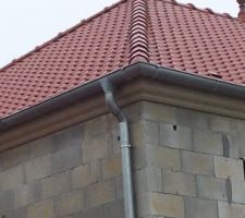 A première vue ce n'est pas mal
A première vue seulement... le gars se dit artisan...arêtiers non alignés..