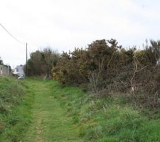 Chemin