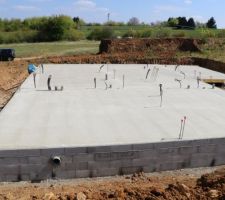 Dalle coul&eacute;e...la suite dans quelques semaines...