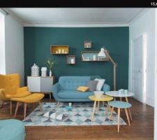 Inspiration peinture et deco salon