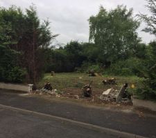 Abattage 2/3 (ouverture du terrain)