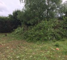 Abattage 3/3 (stockage des arbres)