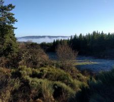 Vue prise au sommet de la parcelle de 16ha