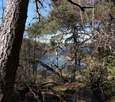 C'est la jungle, mais on aperçoit le lac en contrebas