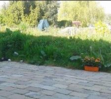 Terre v&eacute;g&eacute;tale &agrave; donner