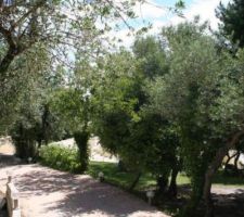 Entr&eacute;e de la propri&eacute;t&eacute;