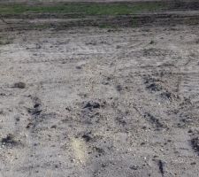 20 m&egrave;tres de large pour 29.50 long rectangulaire et viabilis&eacute;.