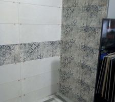 Carrelage choisi pour les murs de la salle de bain du bas