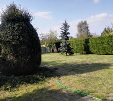 Nettoyage jardin