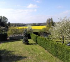 Nettoyage jardin