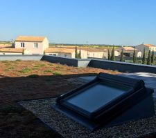 Toiture vegetalisee
