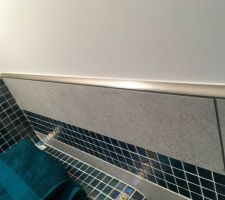 Détail carrelage WC