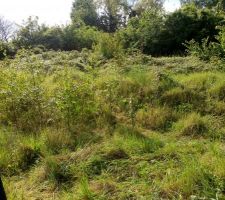 Ici nous verrons avec le terrassier et sa tractopelle