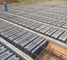 Vide sanitaire partie nuit