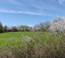 Le calme avant la temp&ecirc;te.