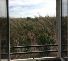 Vue de la chambre sur le jardin