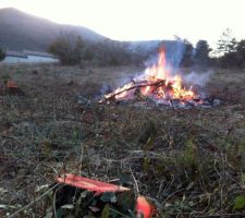 Petit feu après l'abattage des derniers arbres