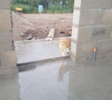 Visite de chantier... Chat alors ça va être grand. 
Approuvé par Oscar notre chat ???