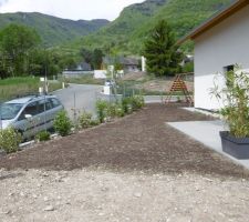 Bambous en jardinières, comme sur la terrasse des restos !