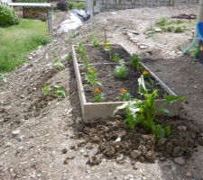 Petit potager sur le côté du jardin que l'on terminera plus tard