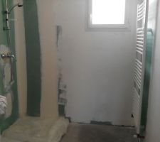 Salle de bain en cours de peinture