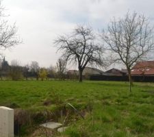 Une petite vue de notre terrain :)