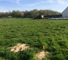 Implantation de la maison sur le terrain
