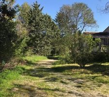Vu du nord du terrain, futur jardin