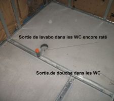 Sortie de douche et de lavabo dans les WC, donc des coudes en plus dans la chape susceptibles de se boucher. Ils auraient d&ucirc; tomber sous la cloison avec un raccord droit. Ne parlons pas de l'a&eacute;ration de po&ecirc;le &agrave; granul&eacute;s qui est au milieu du passage , inutilisable!