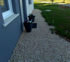 Voici mon nouveau pot de fleur