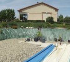 Aperçu du tour de la piscine avec installation de plantations