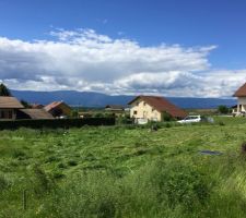 Debroussaillage du terrain